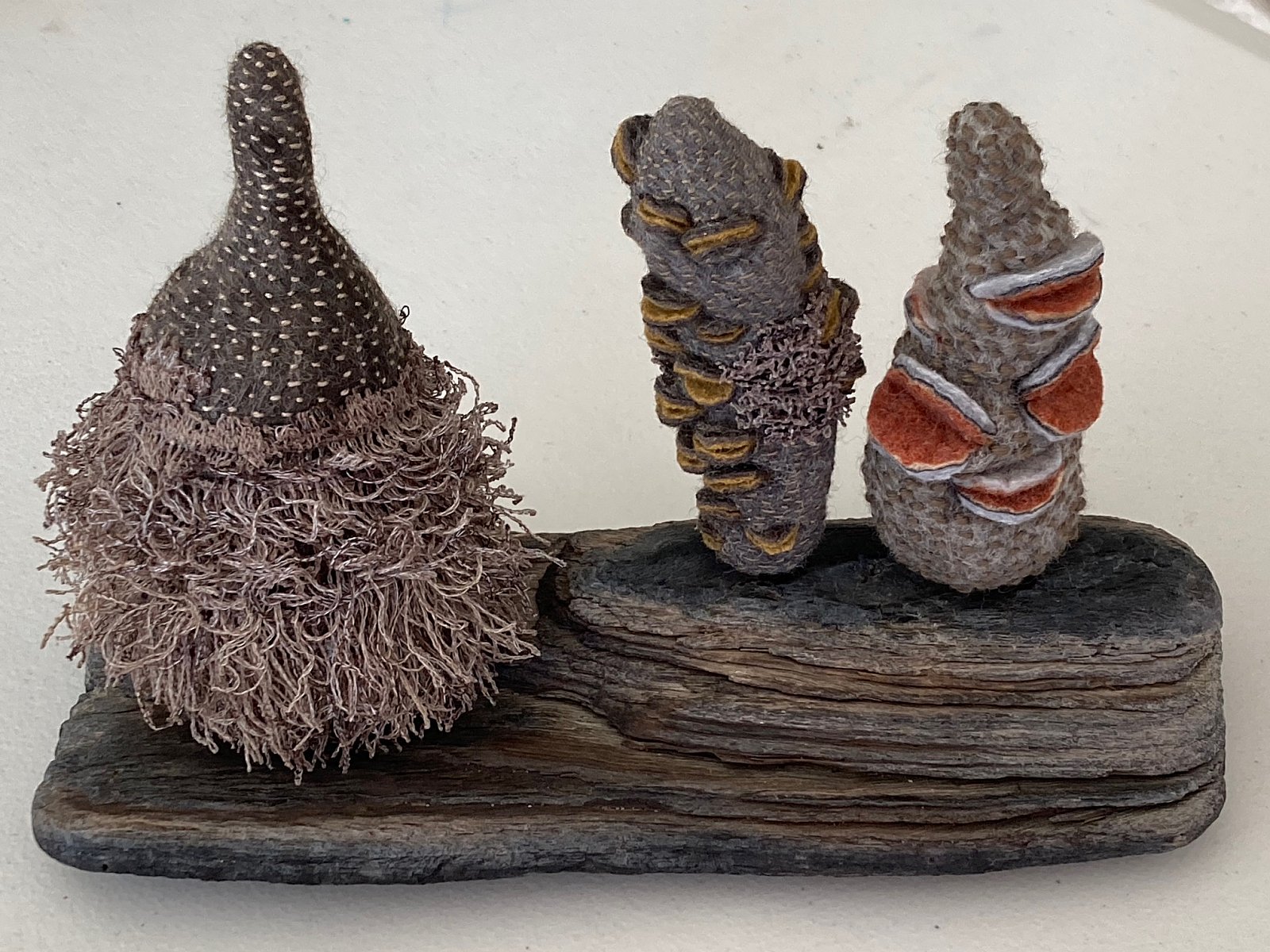 "Banksia Cone Trio" - Look Inside Exhibition March 2023